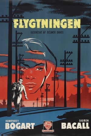 Flygtningen (1947)