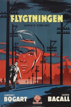 Flygtningen 1947