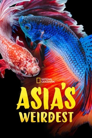 Image 아시아의 기이한 생물들