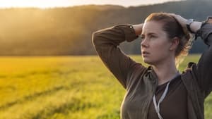 Arrival (2016) Online Subtitrat in Romana