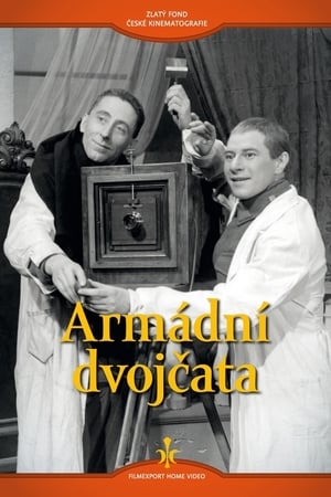 Poster Armádní dvojčata (1938)