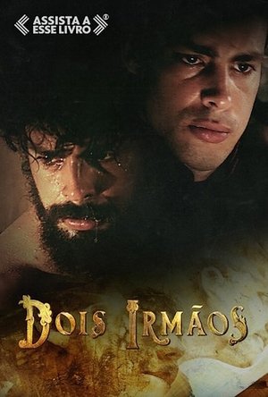 Dois Irmãos poster