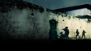 Zero Dark Thirty ( 2012 )