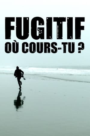 Poster di Fugitif, où cours-tu ?