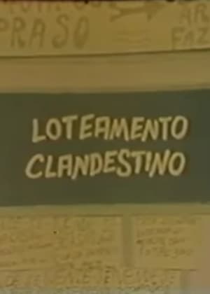 Image Loteamento Clandestino