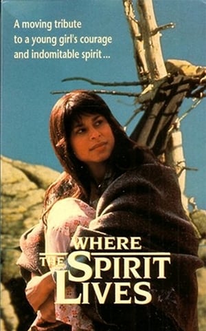 Poster Where the Spirit Lives 1990
