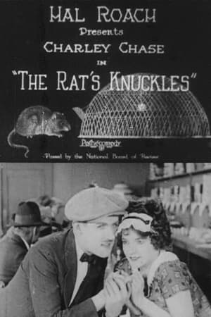 Poster The Rat's Knuckles 1925