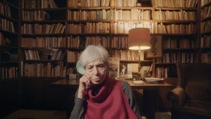 16 millimetri alla rivoluzione
