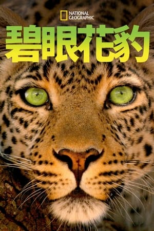Poster Jade Eyed Leopard 2020