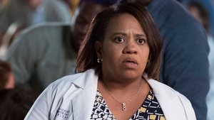 Grey’s Anatomy 13 x Episodio 24