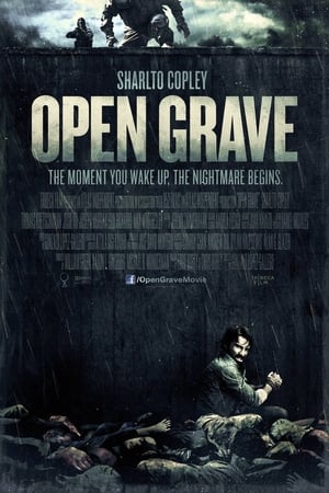 Click for trailer, plot details and rating of Open Grave (2013)