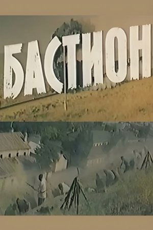 Poster Бастион 1983