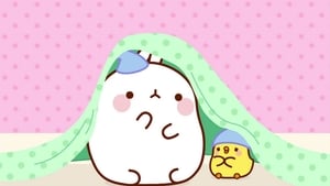 Molang: 4×45