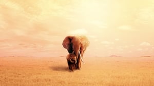 The Elephant Queen / Reina de elefantes 2019