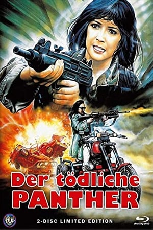 Poster Der  tödliche Panther 1990