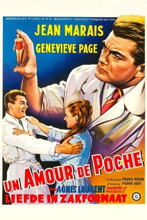 Poster Amour de poche 1957