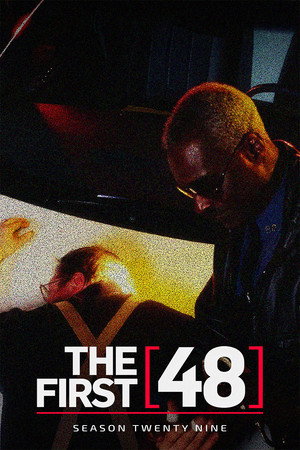 Season 29 poster