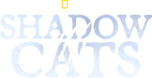 Felinos Extraordinários — Logos 2