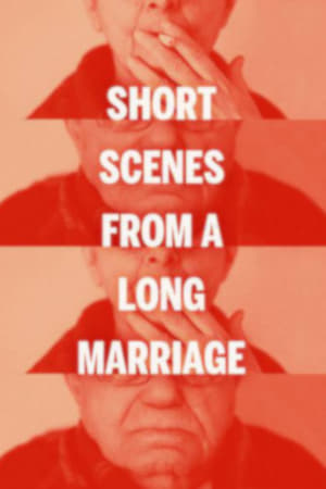 Short Scenes from a Long Marriage film complet