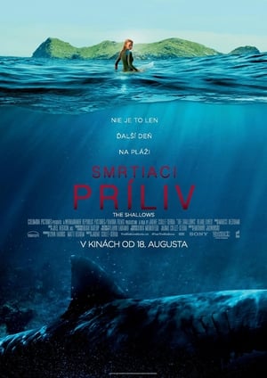 The Shallows 117