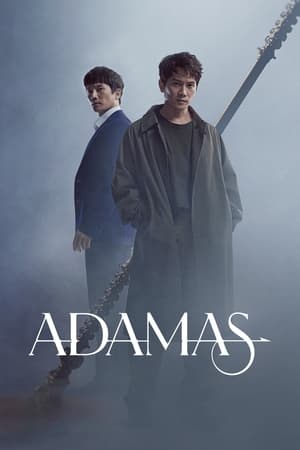 Poster Adamas 2022