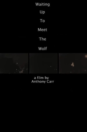Waiting Up to Meet the Wolf