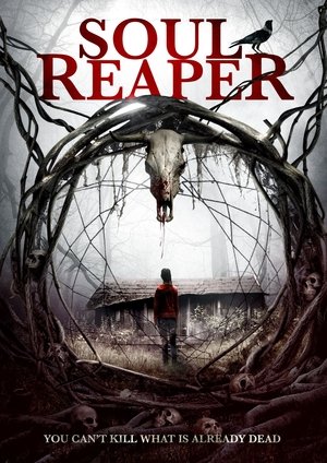 Nonton Drama Korea Soul Reaper (2019)