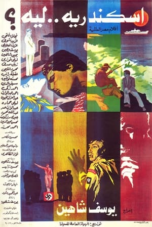 Poster Alexandria... Tại sao? 1979