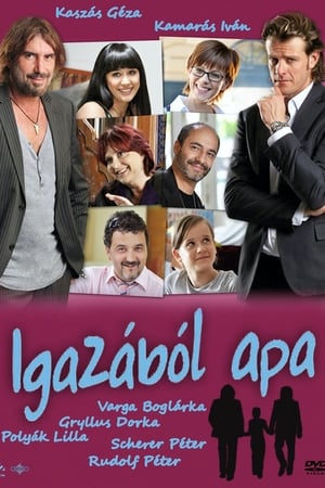 Poster Igazából apa (2010)