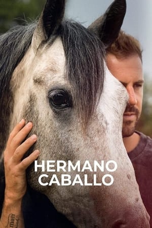 Poster Hermano caballo 2023