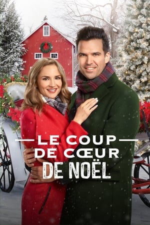 Image Le coup de cœur de Noël