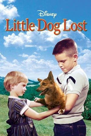 Image Little Dog Lost