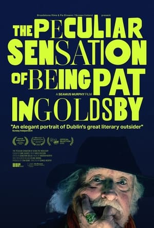 Poster The Peculiar Sensation of Being Pat Ingoldsby 2022