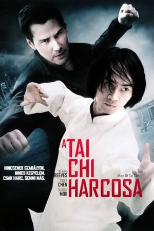 Poster A Tai Chi harcosa 2013