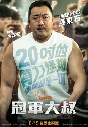 Poster 冠军 2018