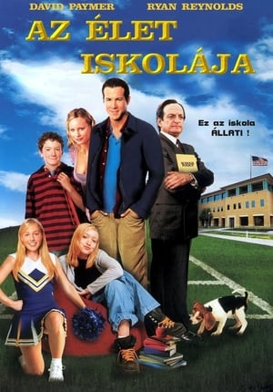 Poster Az élet iskolája 2005