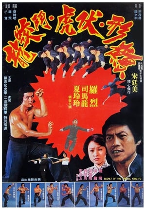 Poster Secret of Chinese Kung Fu (1977)