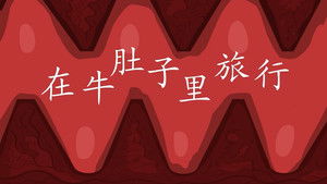 Episode 12 | StreamHub