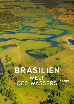 Poster Terra Mater: Brasilien - Welt des Wassers (2015)