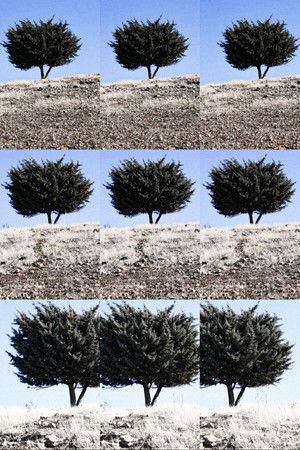 Where is the Final Destination? (2025)