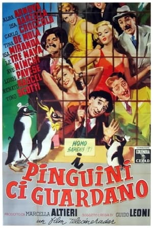 Poster I pinguini ci guardano (1956)