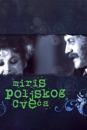 Poster Miris poljskog cveća 1977