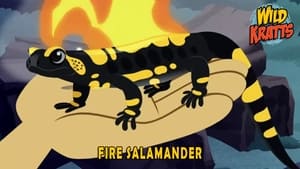Image Fire Salamander