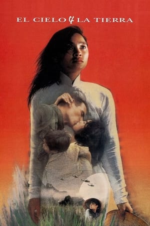 Poster El cielo y la tierra 1993