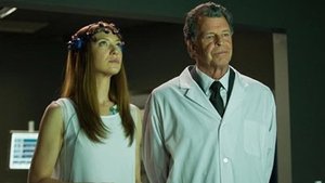 Fringe (Al límite) Temporada 3 Capitulo 5