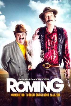 Poster ROMing 2007