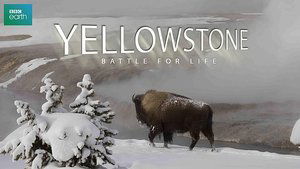 Yellowstone (2009) online ελληνικοί υπότιτλοι