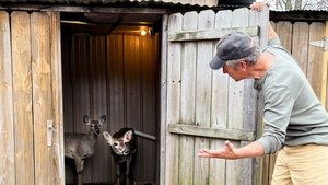 Image Deer Urine Farmer / Necropsy