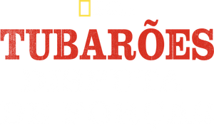 Tubarões: Disputa de Forças
