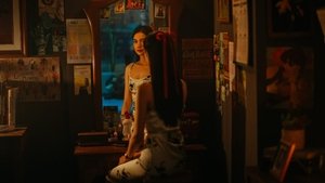 Do You See What I See ( 2024 )
